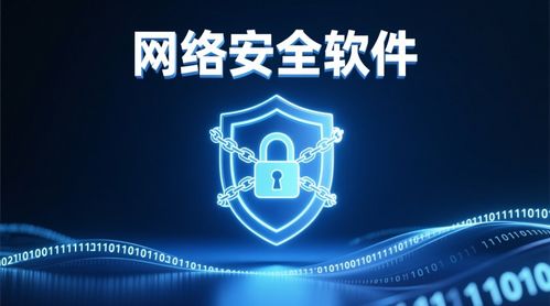 网络安全软件在Web开发中的关键应用与实践